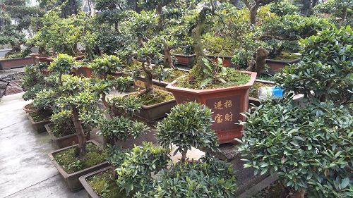 基地实景 基地实景