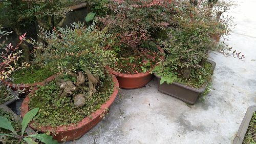 基地实景 基地实景