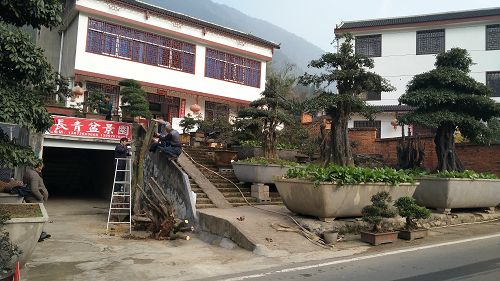 基地实景 基地实景