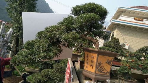 基地实景 基地实景