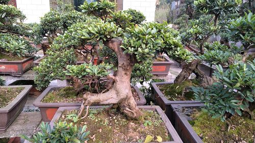 基地实景 基地实景