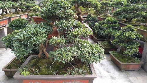 基地实景 基地实景