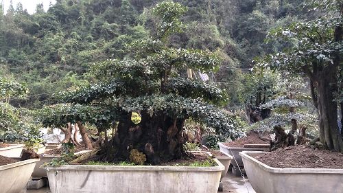 基地实景 基地实景