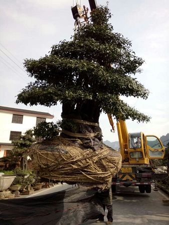 工程案例 工程案例