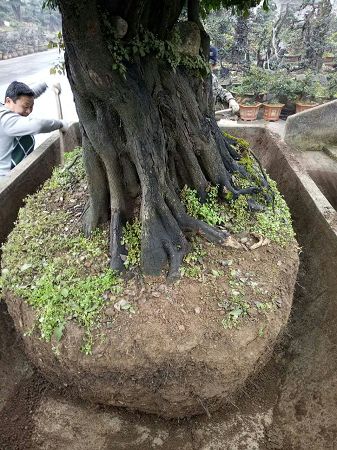 工程案例 工程案例