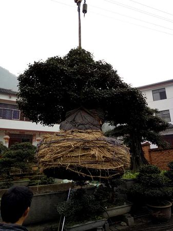 工程案例 工程案例