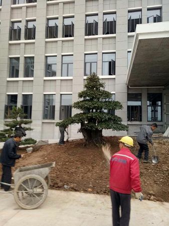 工程案例 工程案例