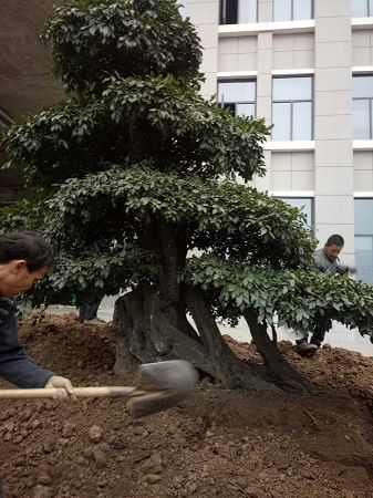 工程案例 工程案例