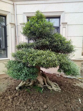 工程案例 工程案例