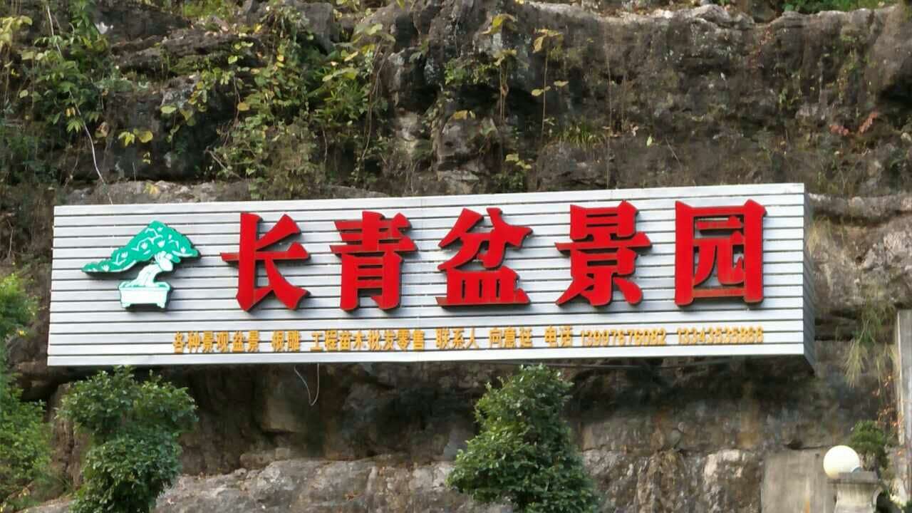 基地实景 基地实景