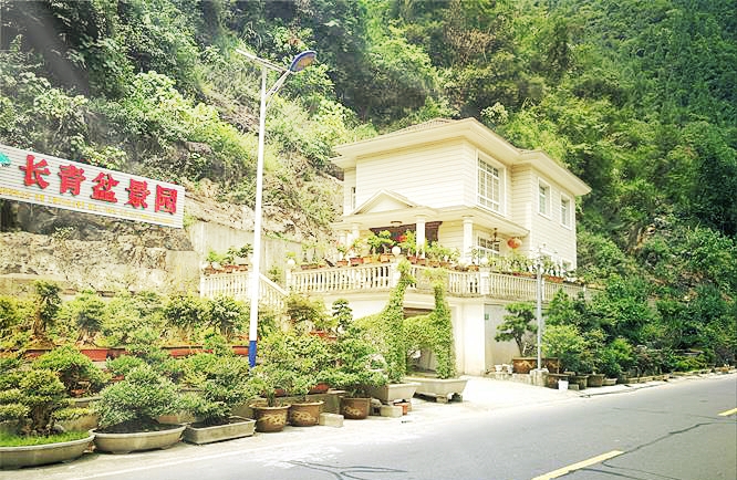 基地实况 基地实况