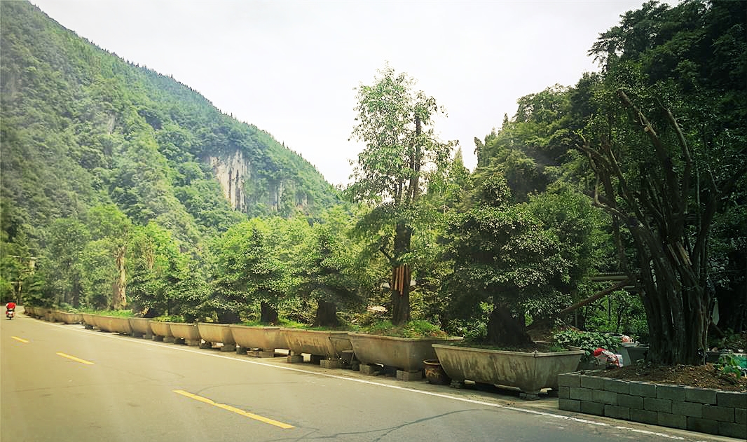 基地实况 基地实况