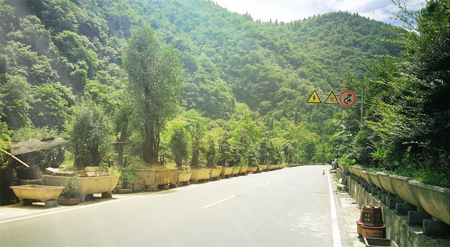 基地实况 基地实况